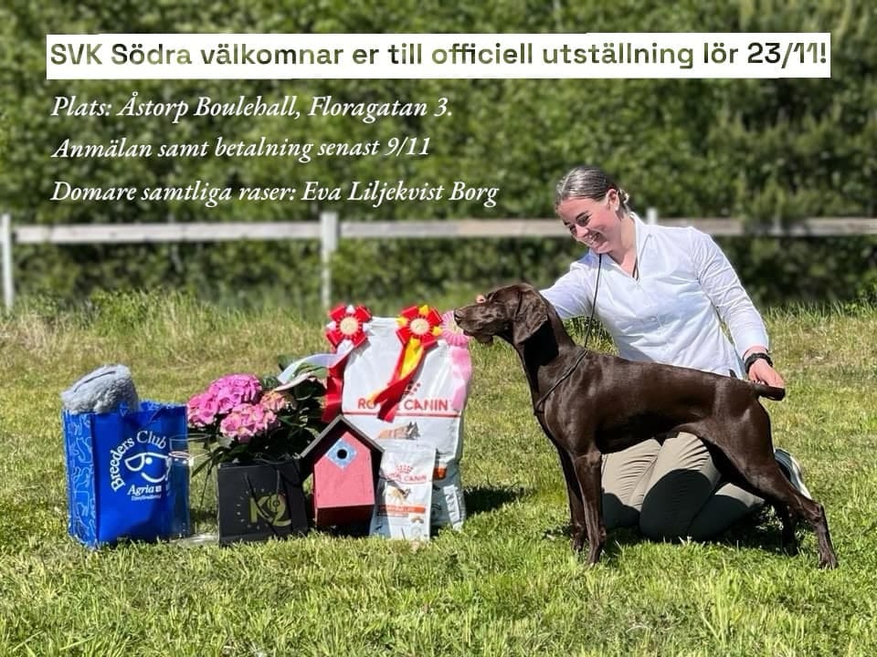 Utställning i Åstorp 23/11