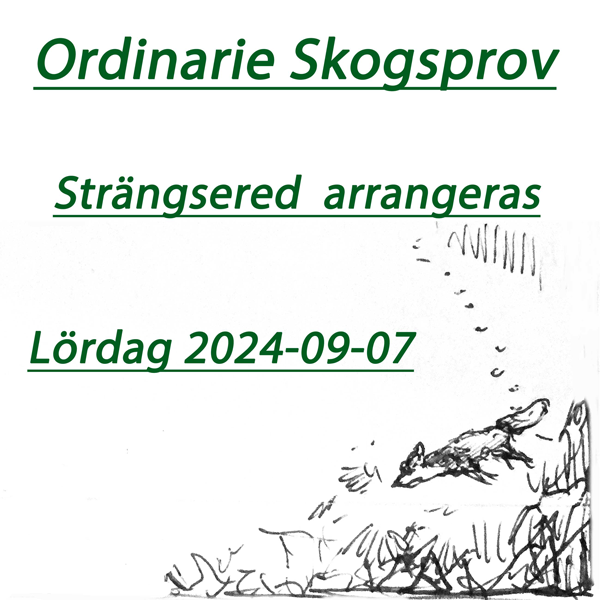 Ordinarie Skogsprov Strängsered  arrangeras Lördag 9/9 2024.