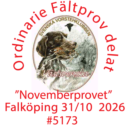 Välkommen till 2026 års novemberprov