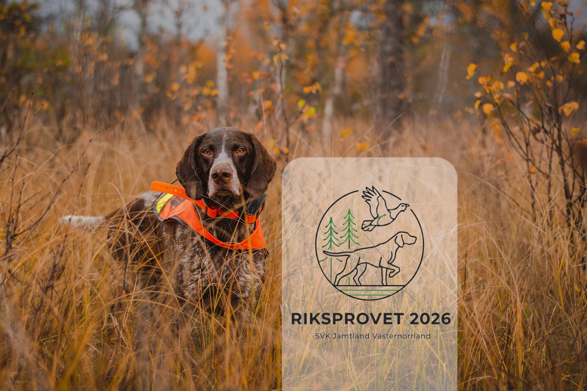 RIKSPROVET I SKOG 2026