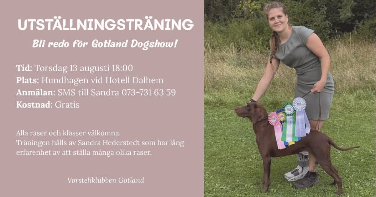 Utställningsträning