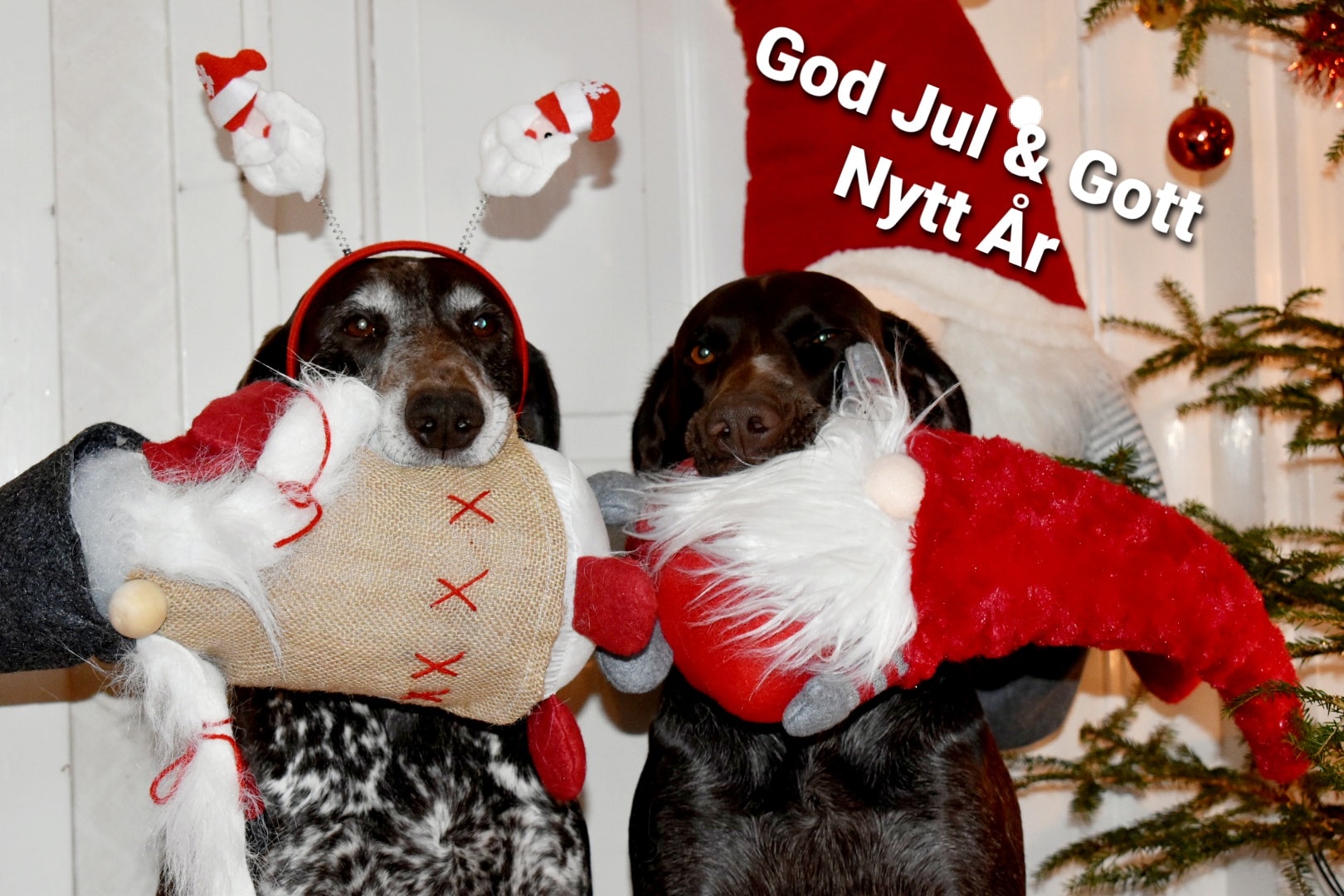 God Jul & Gott Nytt År!