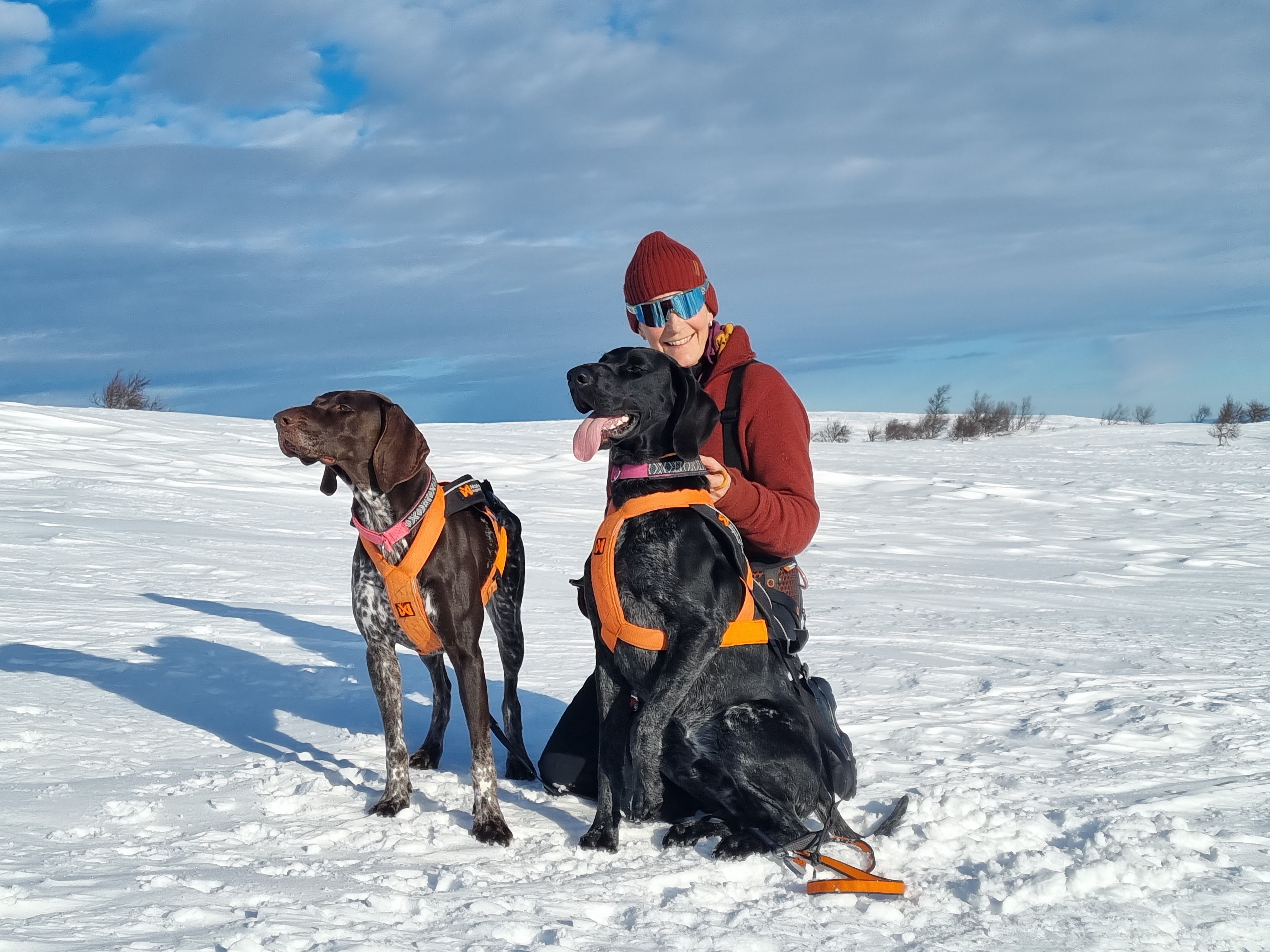 Presentation av nya styrelsen, Ordförande