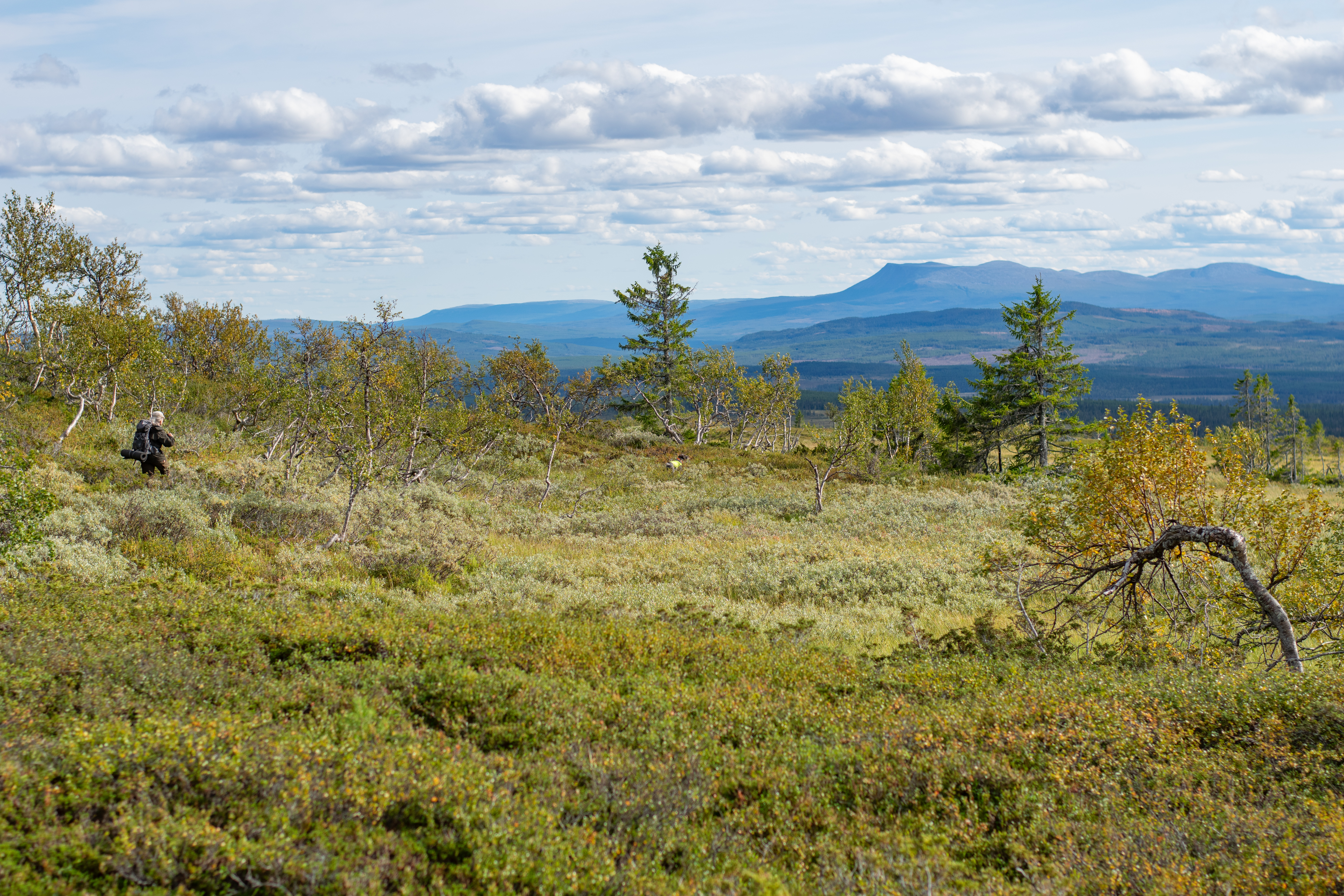 Fjällprov vid Stora Blåsjön öppen för anmälan