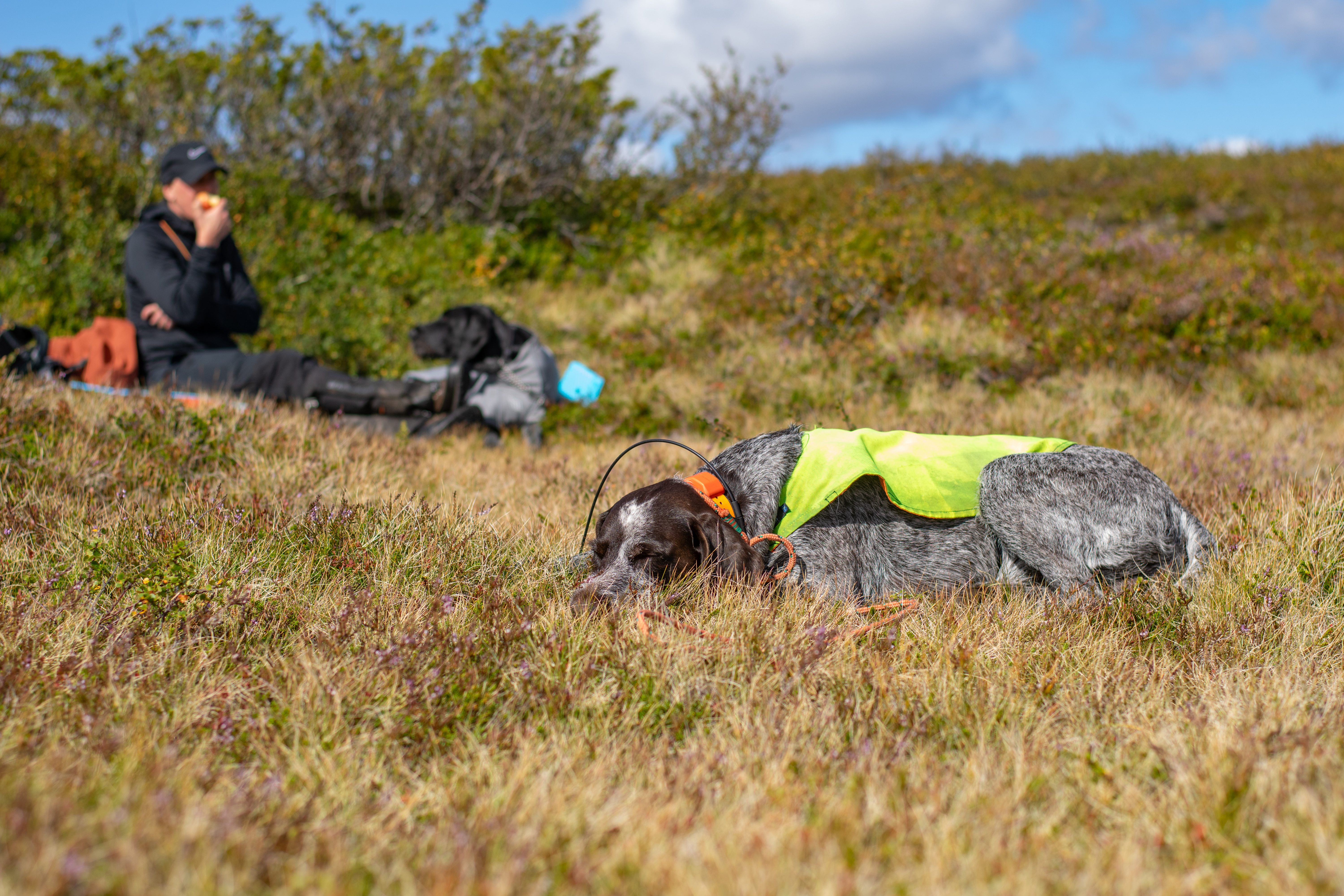 Fjällträning 16-17 augusti