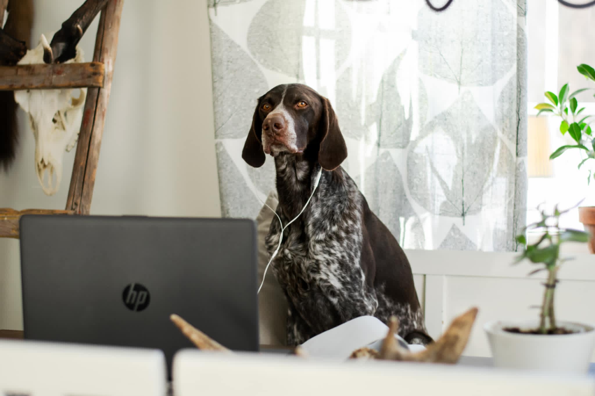 Nu kan ni medlemmar skicka in motioner till årsmötet