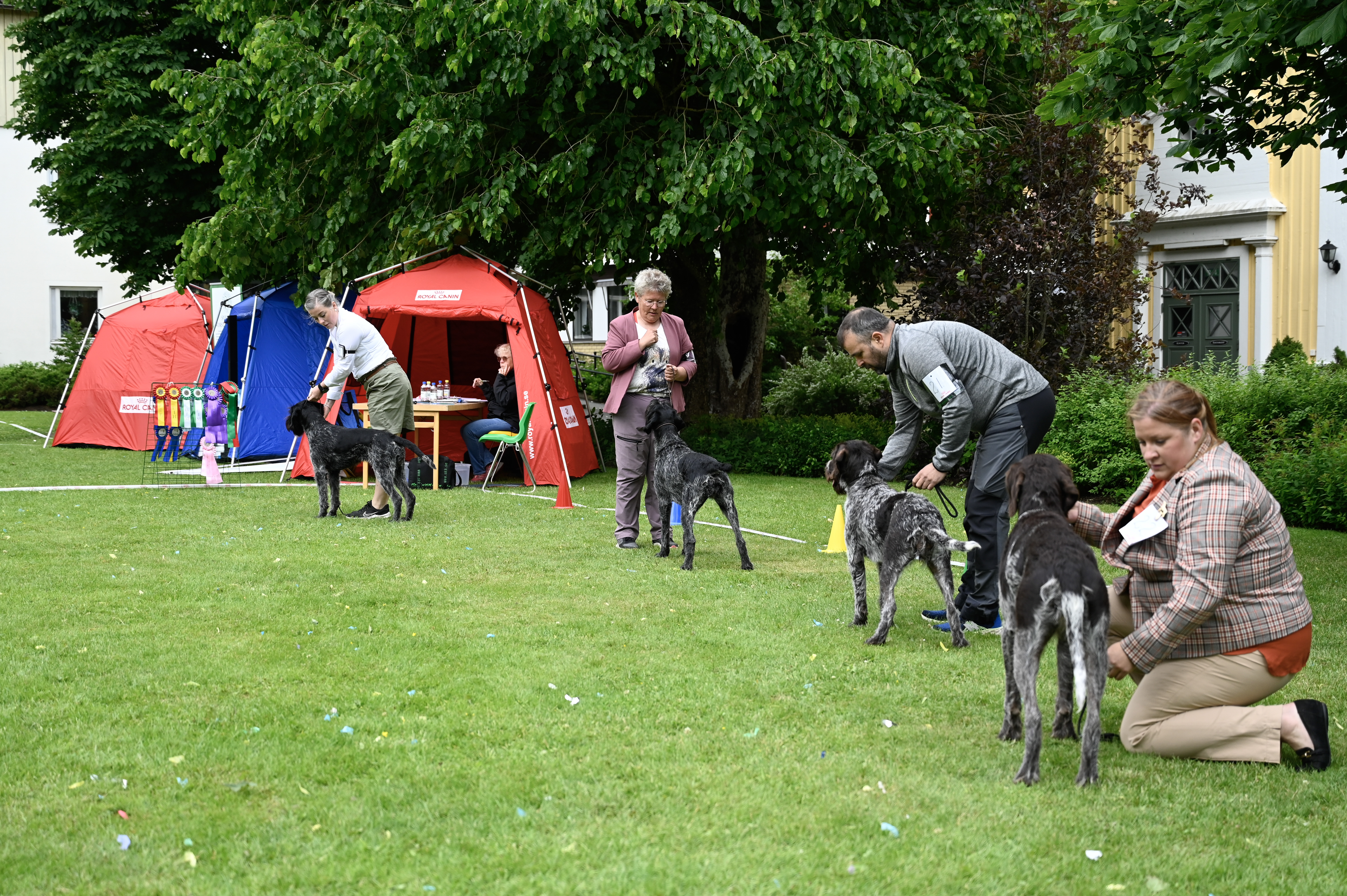 Välkommen på officiell utställning i Jönköping!