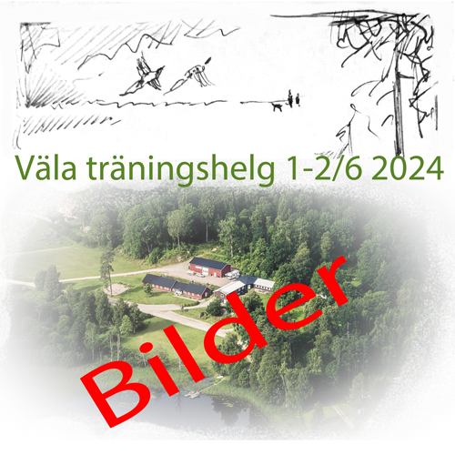 Bilder från Väla 2024