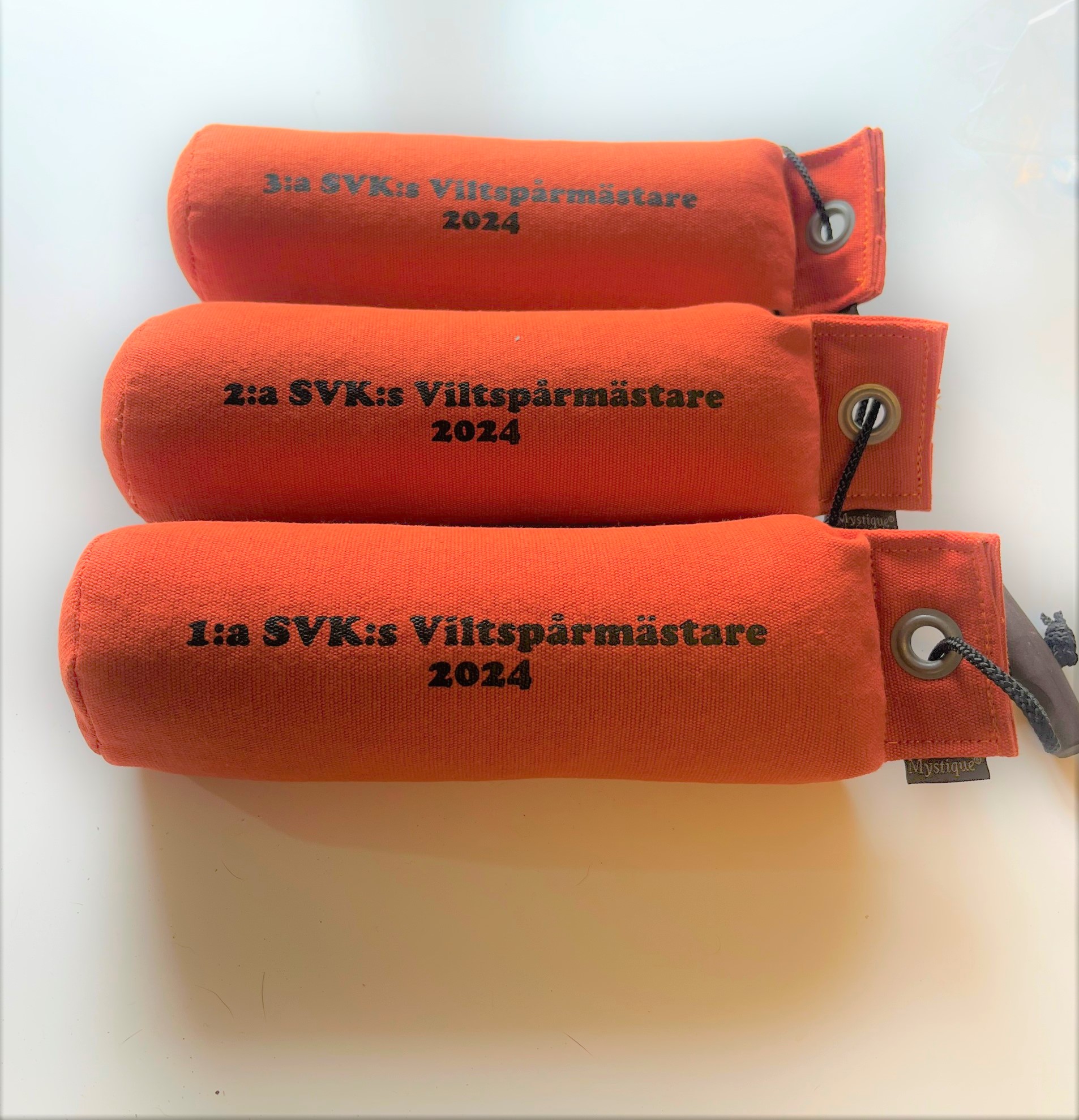 Prisutdelning Viltspårmästaren 2024