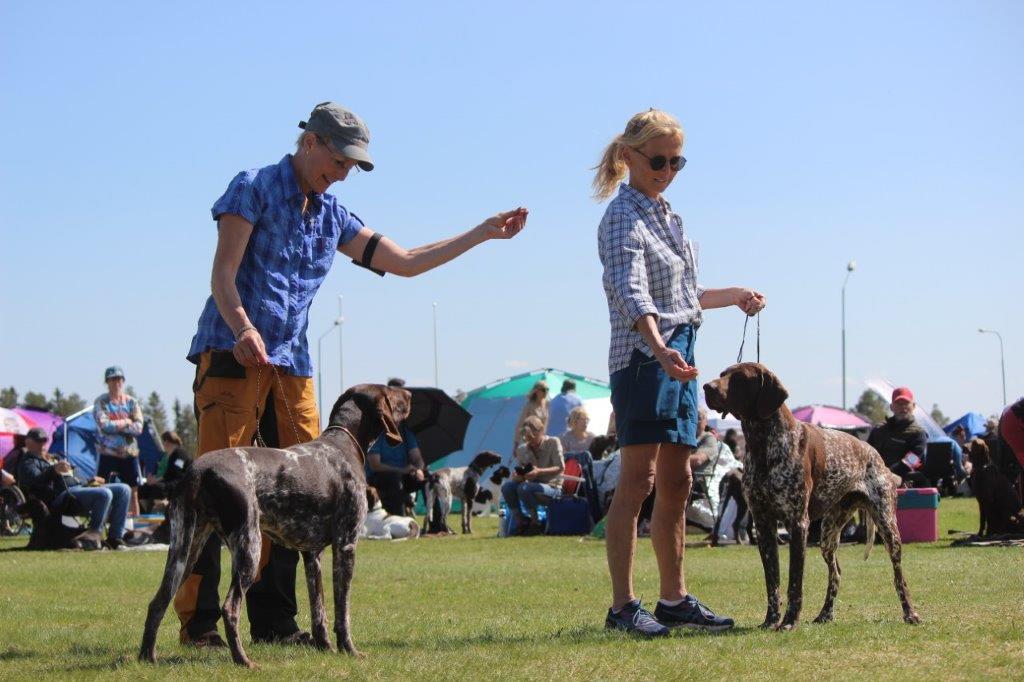 Är du intresserad av utställning och vill hjälpa till inom lokalavdelningen? 