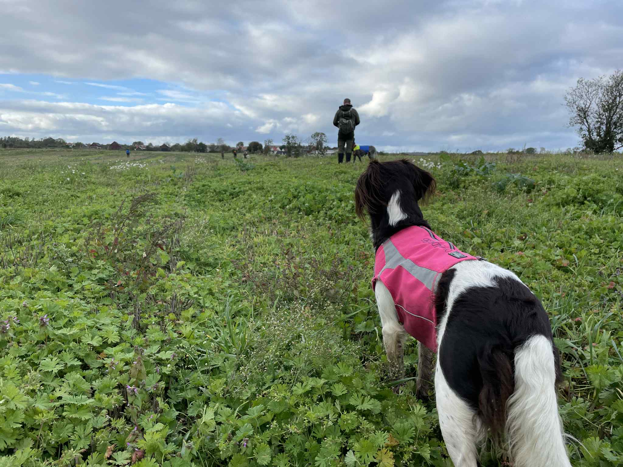 Efter regn kommer sol...  Ordinarie fältprov Öland 4-5 oktober 2025