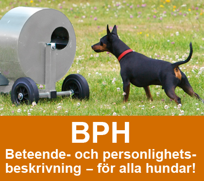 BPH -Beteende- och personlighets-beskrivning hund