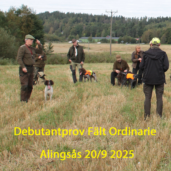 Debutant fältprov  Lördag 20/9 2025.