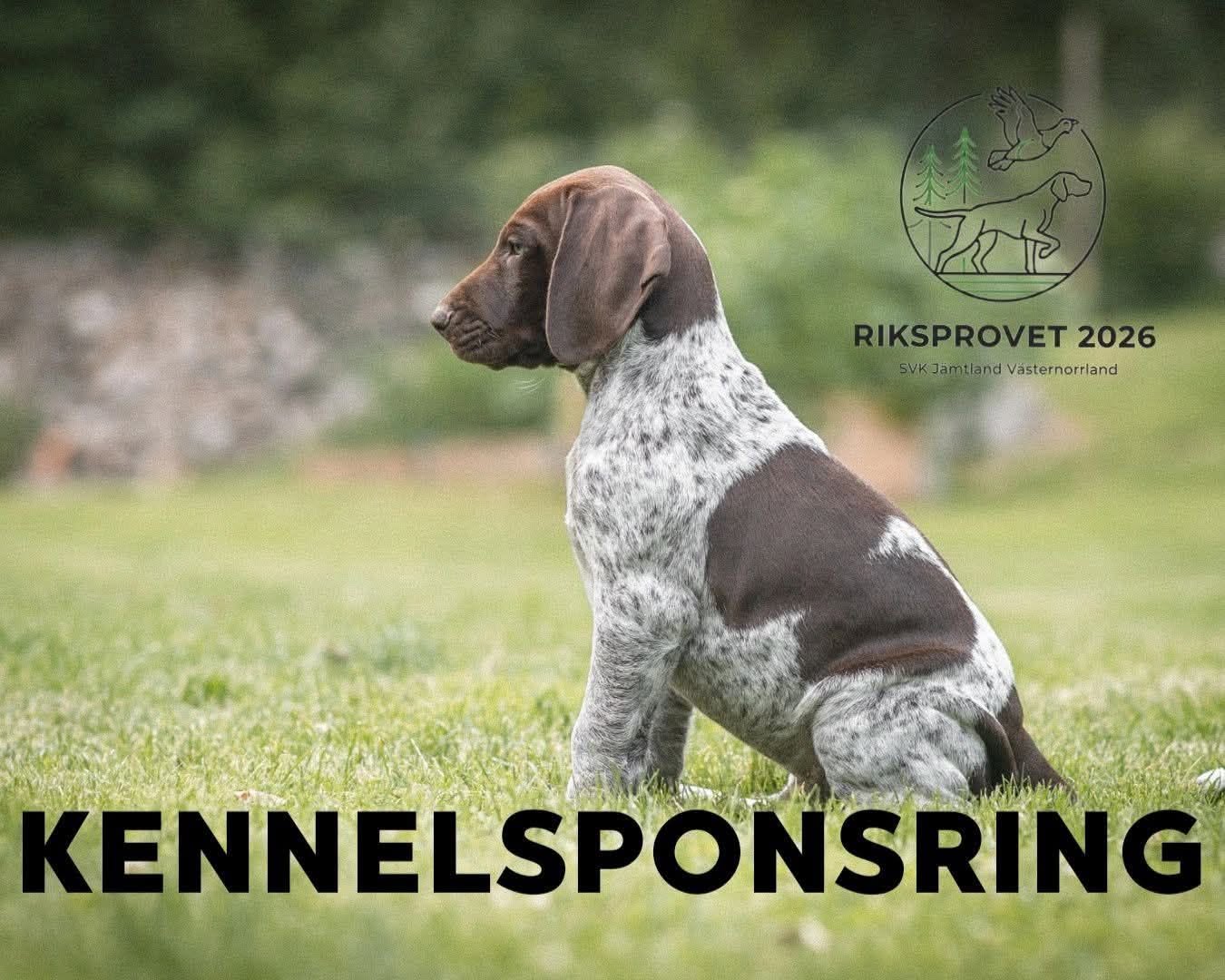 Kennelsponsring