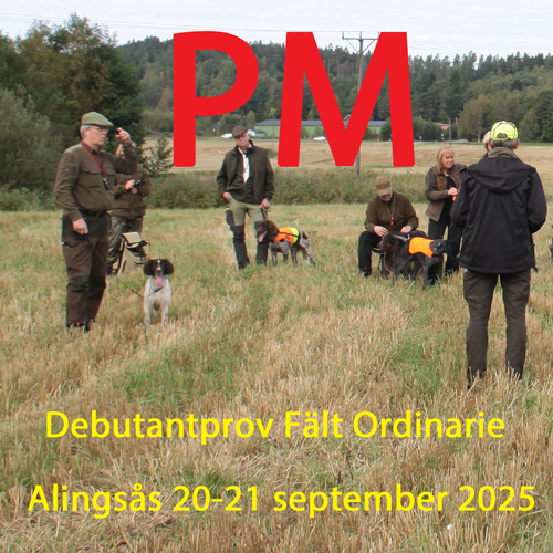 PM  Debutantprov fält den 20 och 21/9  2024 Vittene
