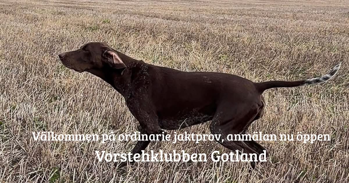 JAKTPROV HÖST 2026
