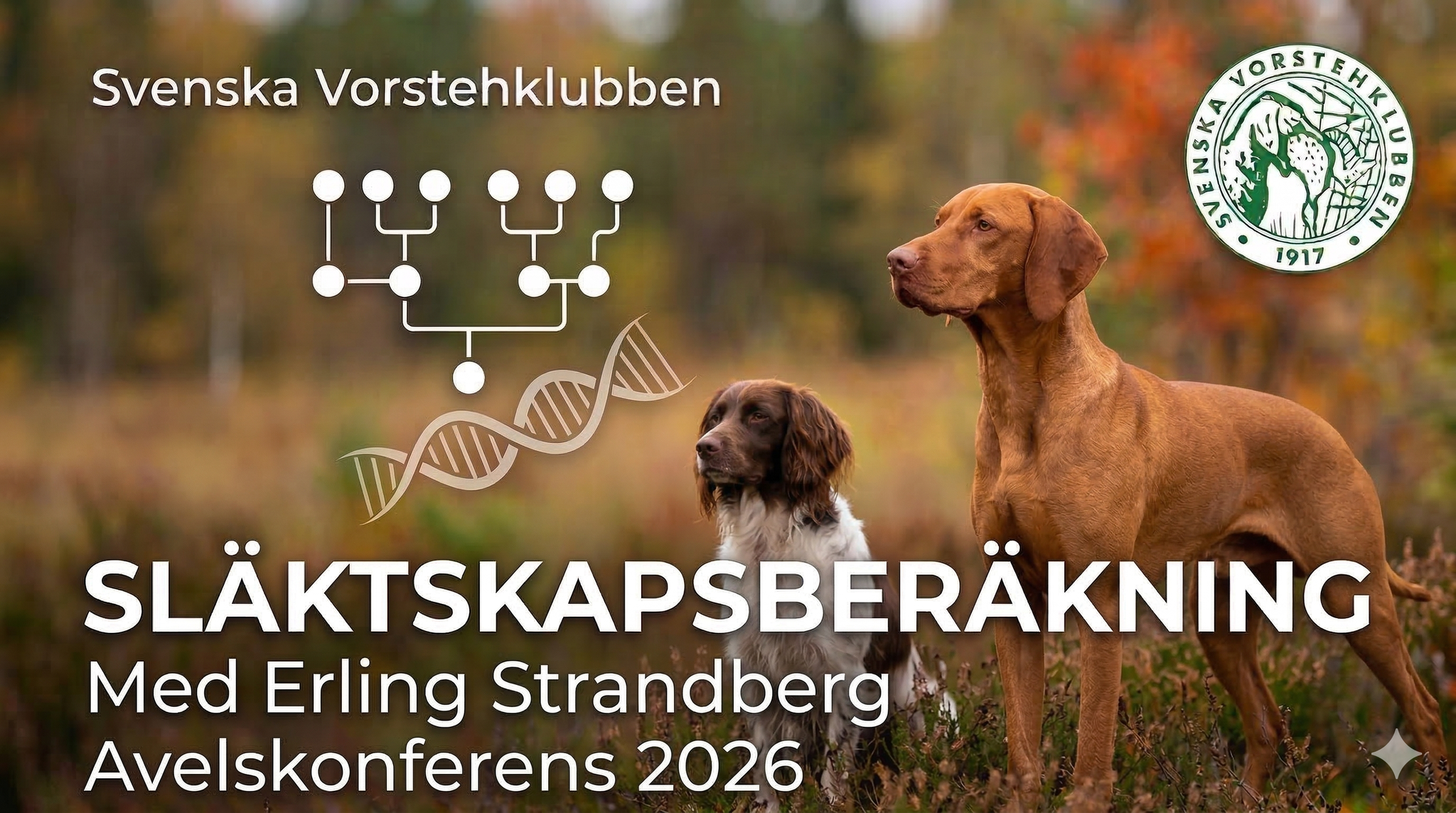 Frågestund med Erling Strandberg finns nu på SVK Youtube