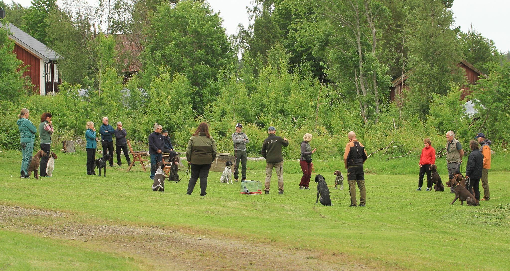 Medlemsdag - Västernorrland 27/6