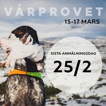 Sista dag att anmäla till vårprovet