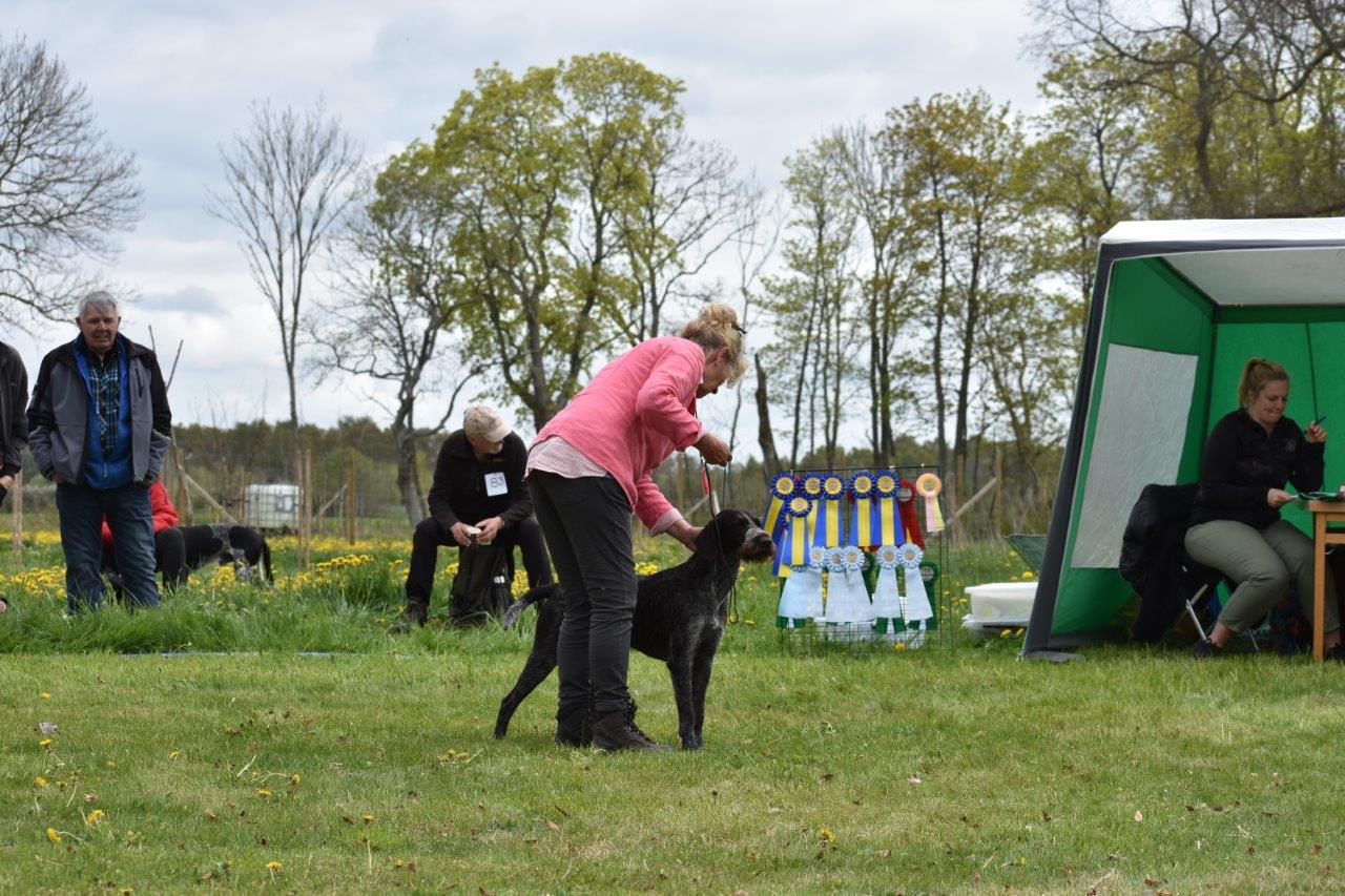 Glöm inte anmäla er