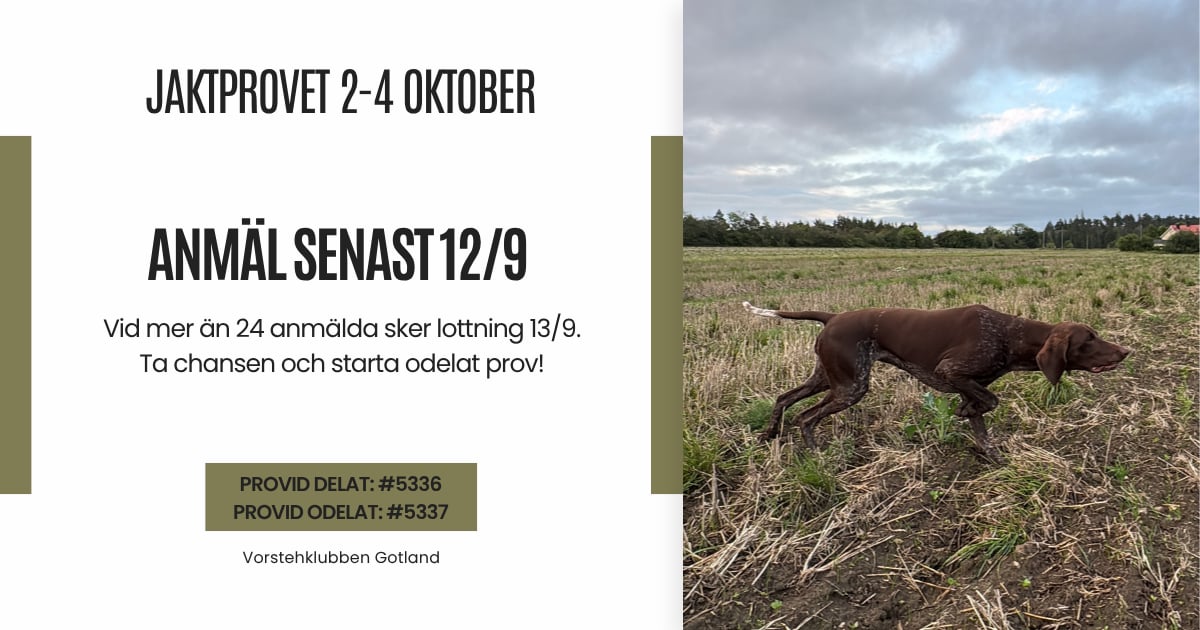 JAKTPROV HÖST 2026