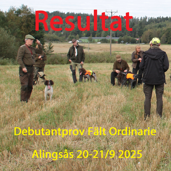 Resultat Debutantprov 20-21/9 2025