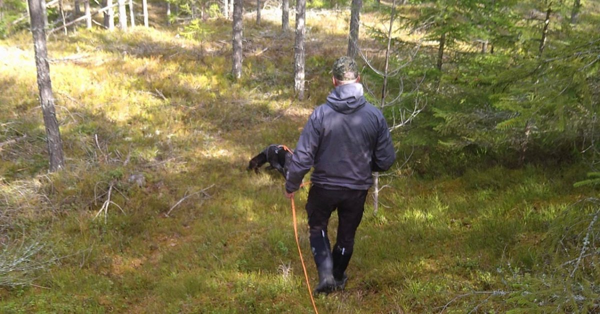 Viltspårprov i SKK start från 1/7 2025