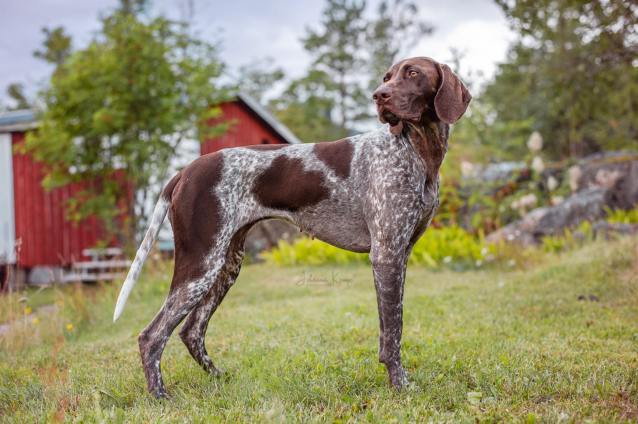Utställningen i Bringåsen 2026