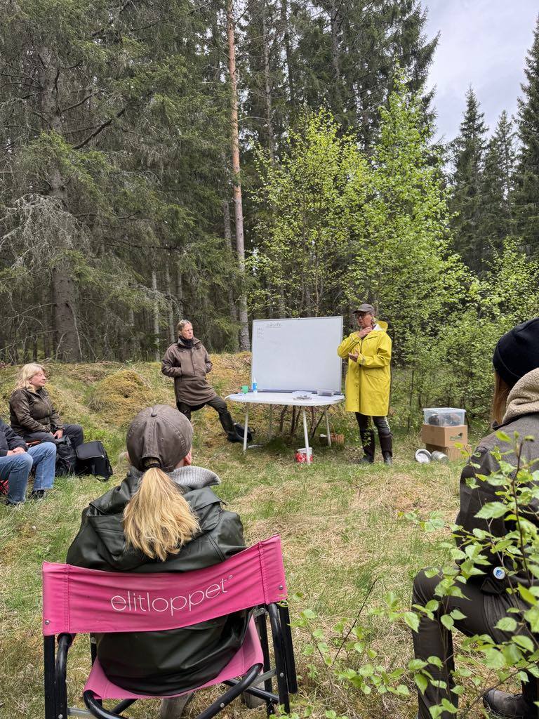Uppstart Eftersöksgrenar , med spår och vattenarbete i Aneby.