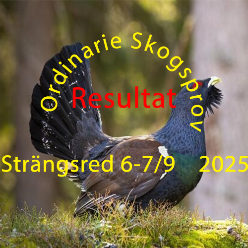 Resultat Skogsprovet 6-7/9 2025