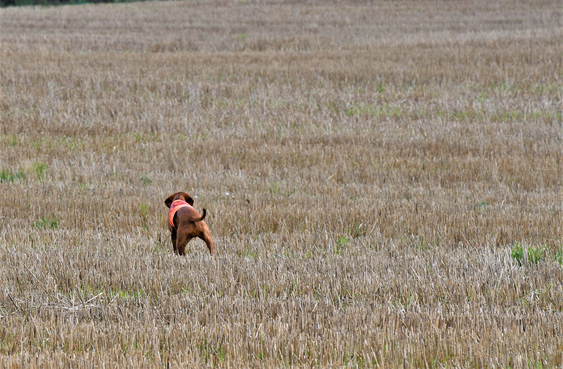 Nybörjarträning 29 apri