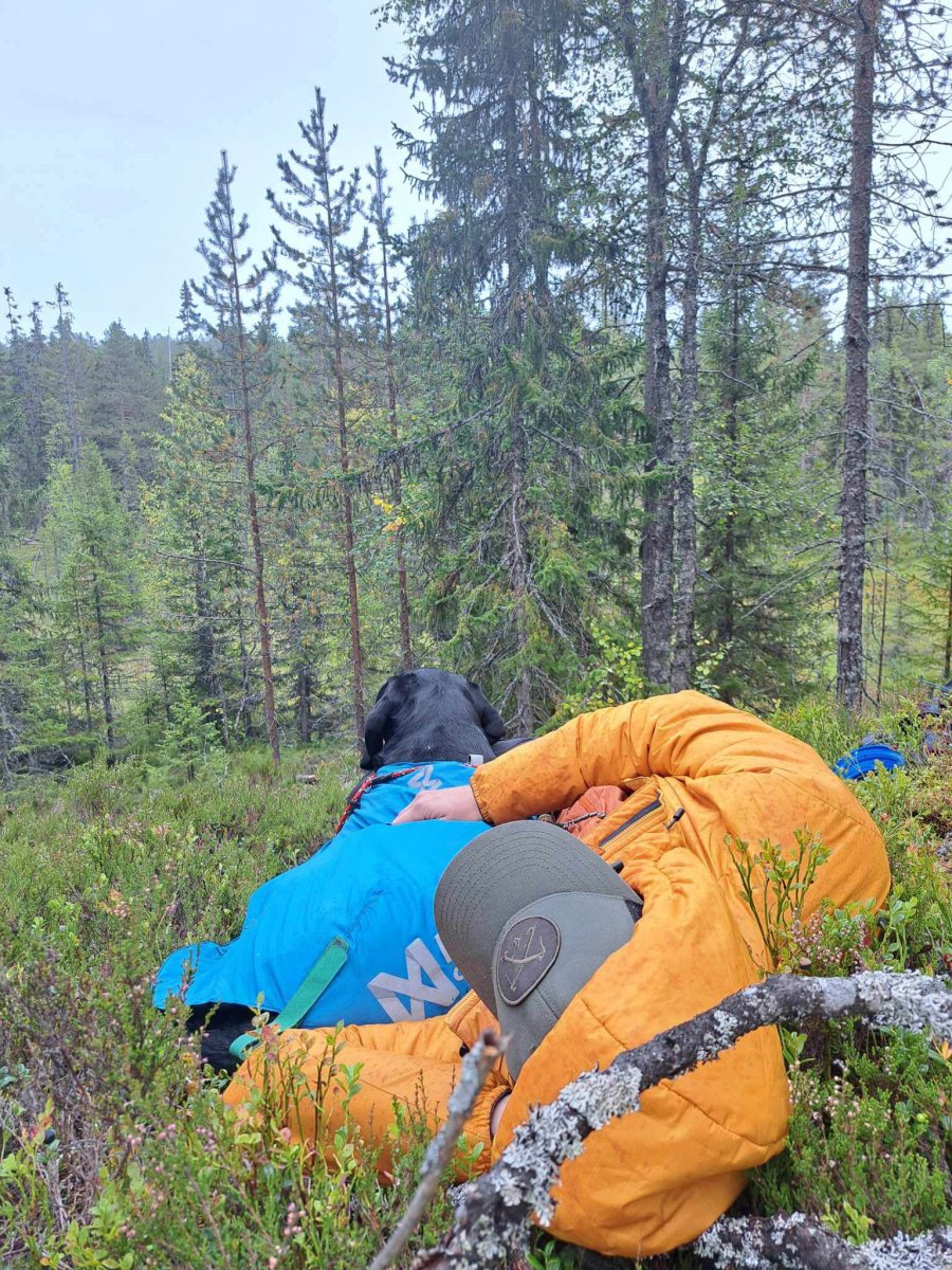 Anmälan till skogs- och fjällproven är öppna