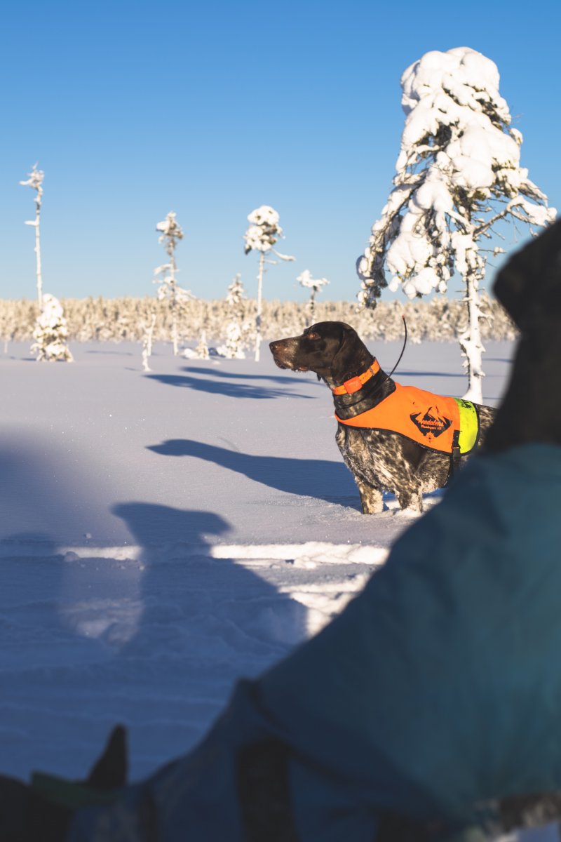 Årsmöte 22/2