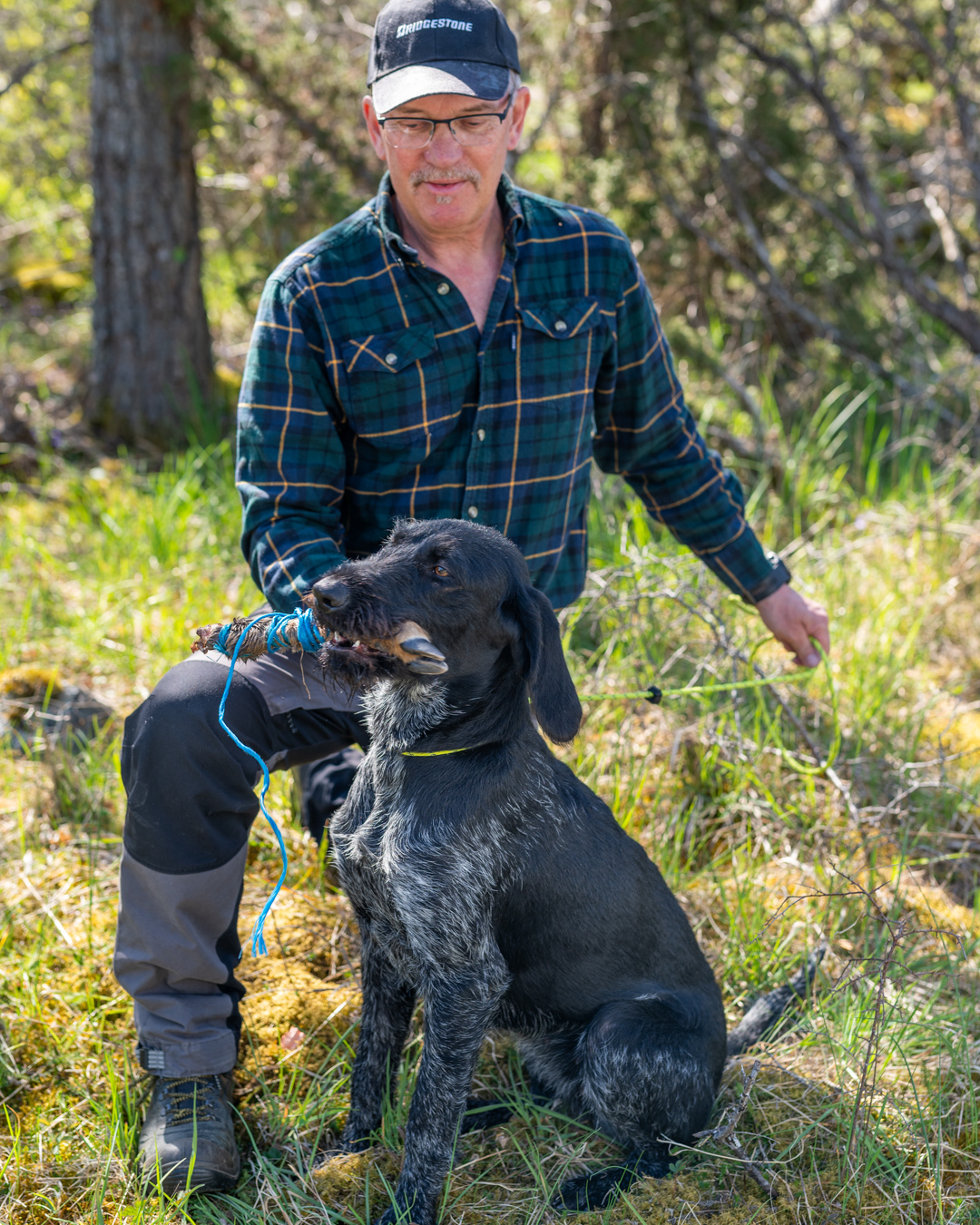 Ordinarie Viltspårprov 2026