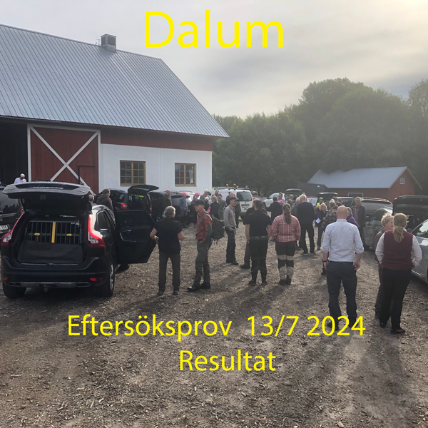 Resultat eftersöksprov Dalum 13/7 2024