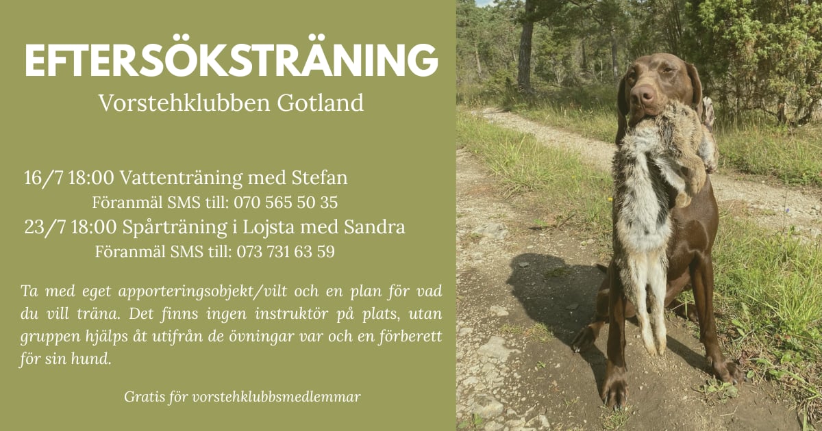 Eftersöksträning i sommar