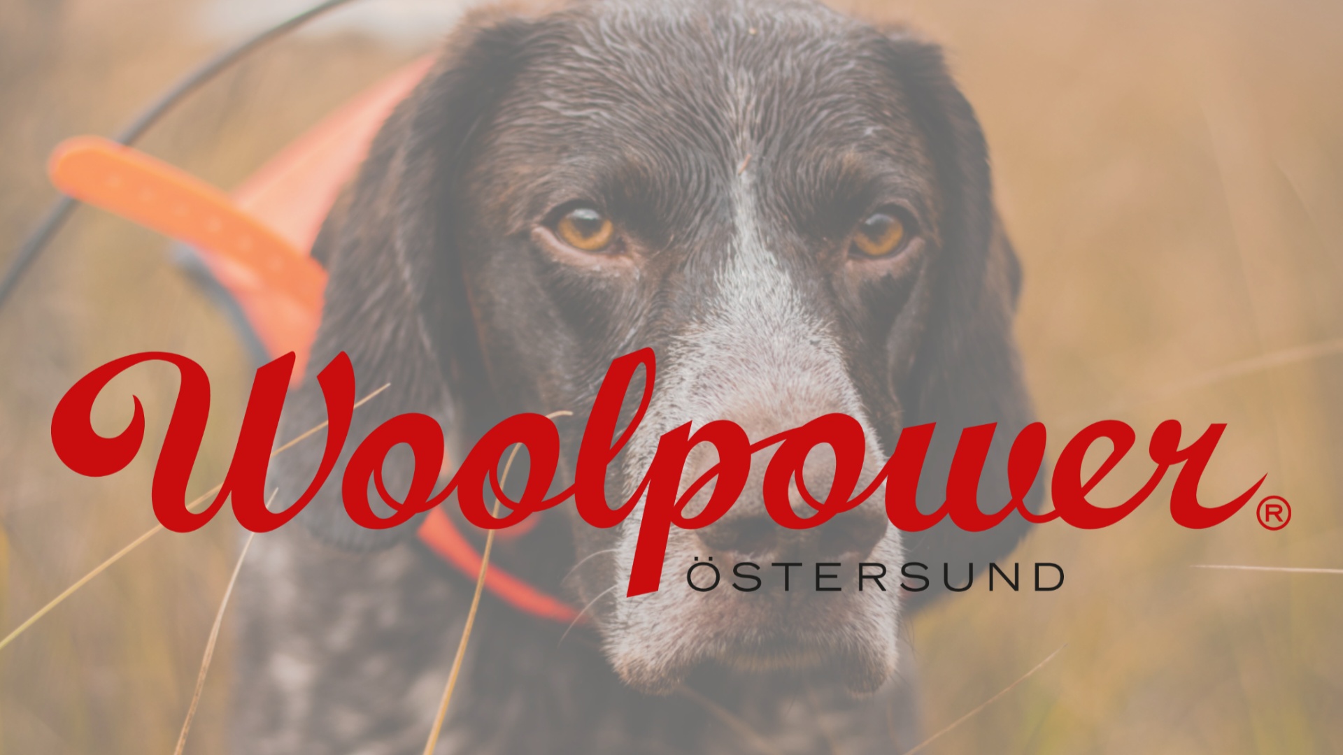 Woolpower sponsrar vårt lotteri!