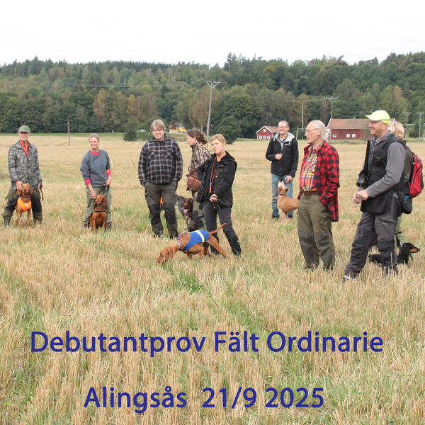 Debutant fältprov  21/9 2025
