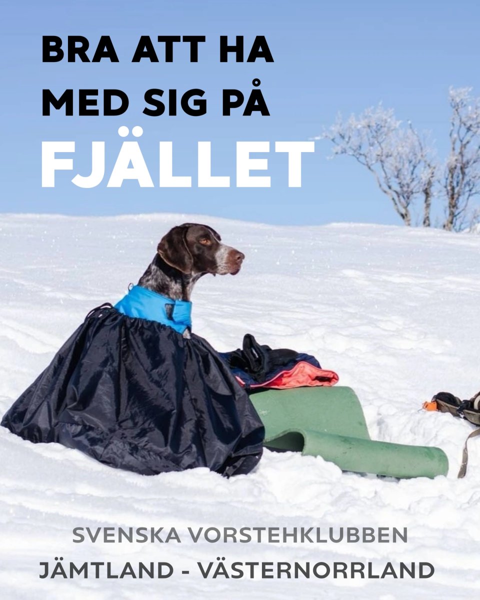 Bra att ha med sig på fjället