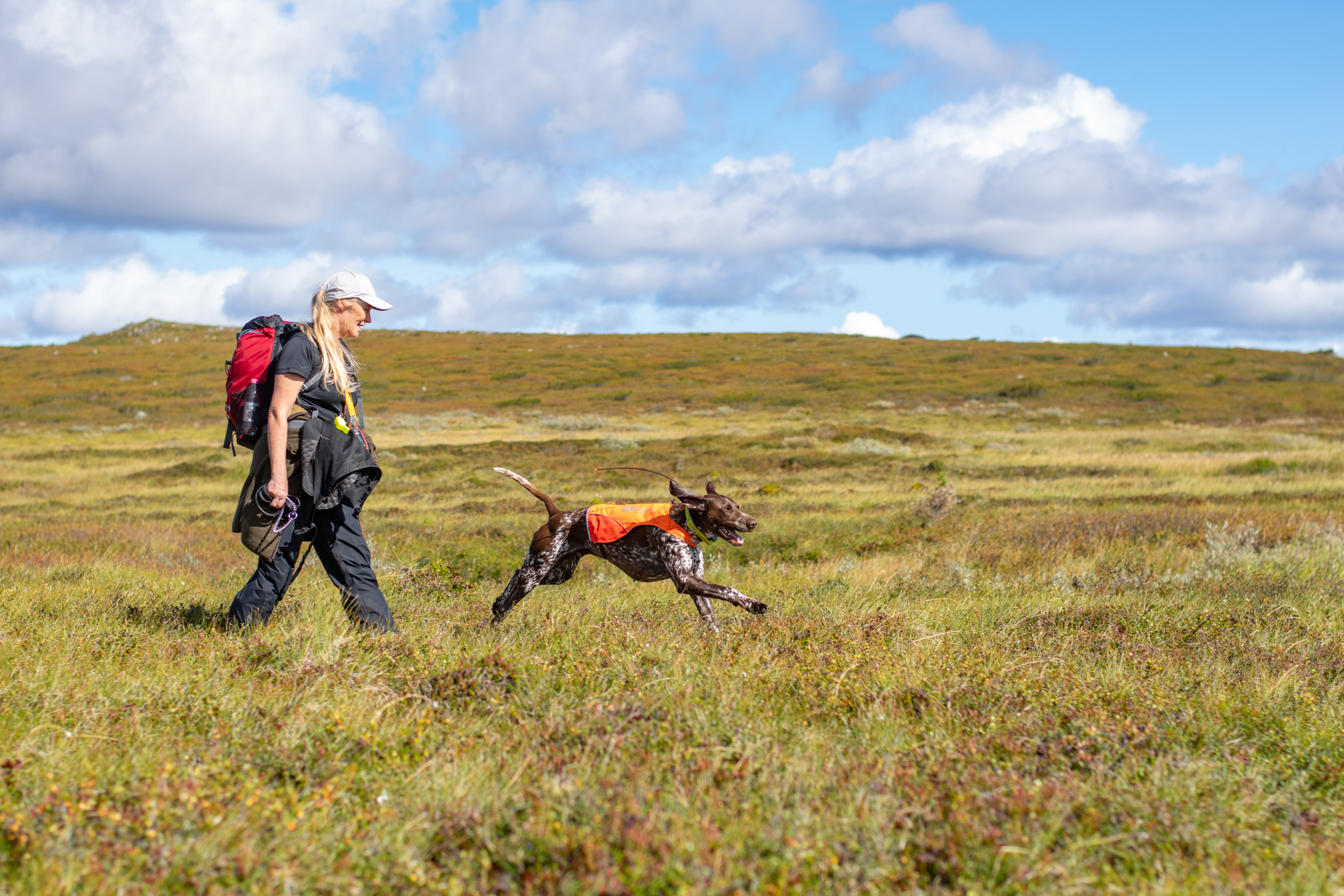Lyckade och trevliga dagar på fjället 