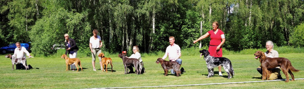 Utställning Ånnaboda 17 maj