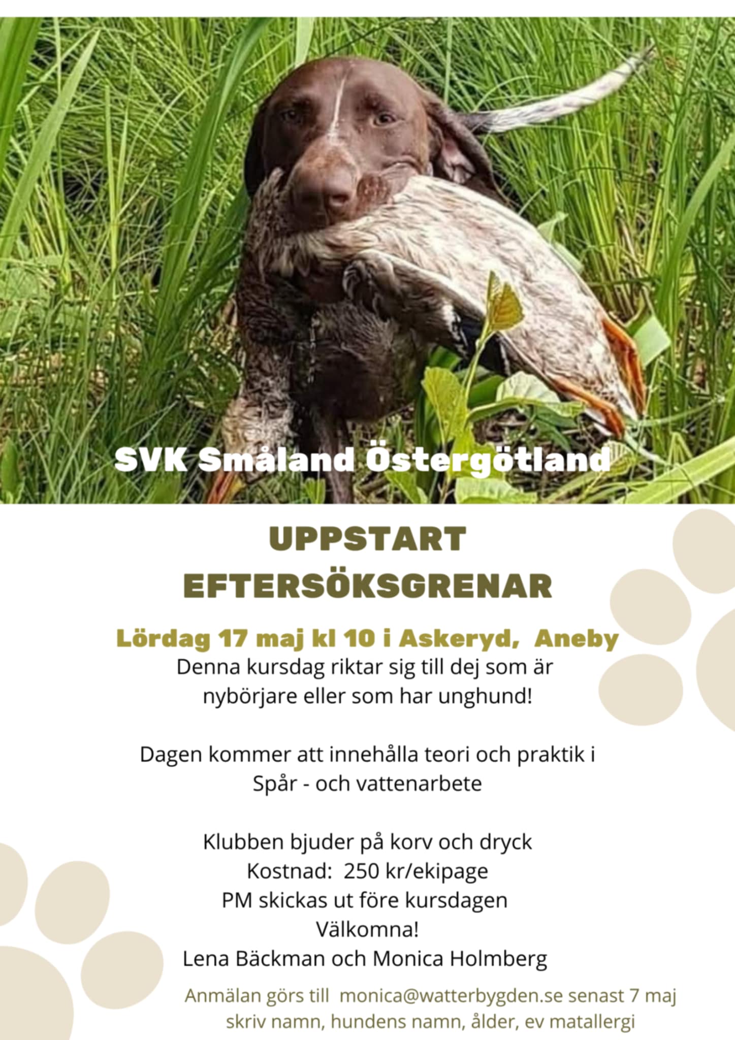 Kurs