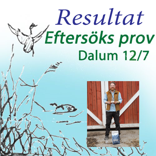 Resultat Ef-prov Dalum 12/7 2025