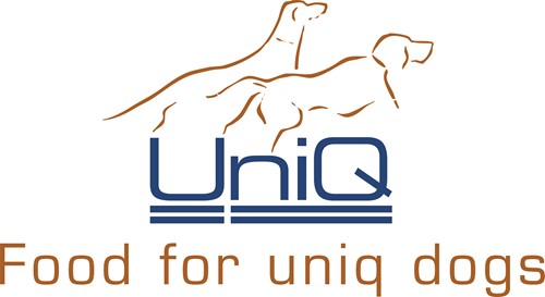 Uniq Logo Punchline