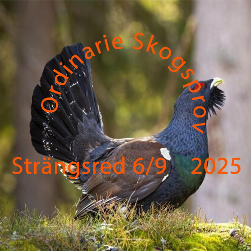 Ordinarie Skogsprov Strängsered  arrangeras Lördag 6/9 2025.