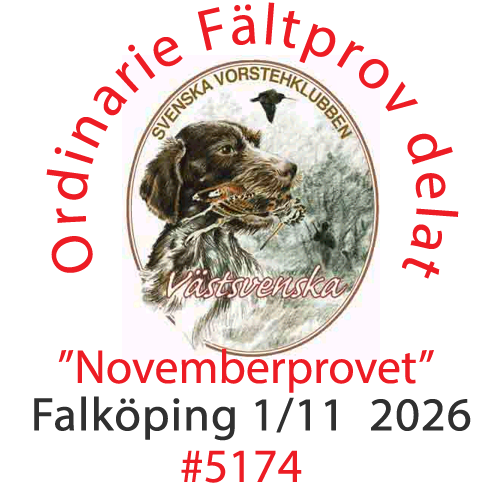 Välkommen till 2026 års novemberprov 