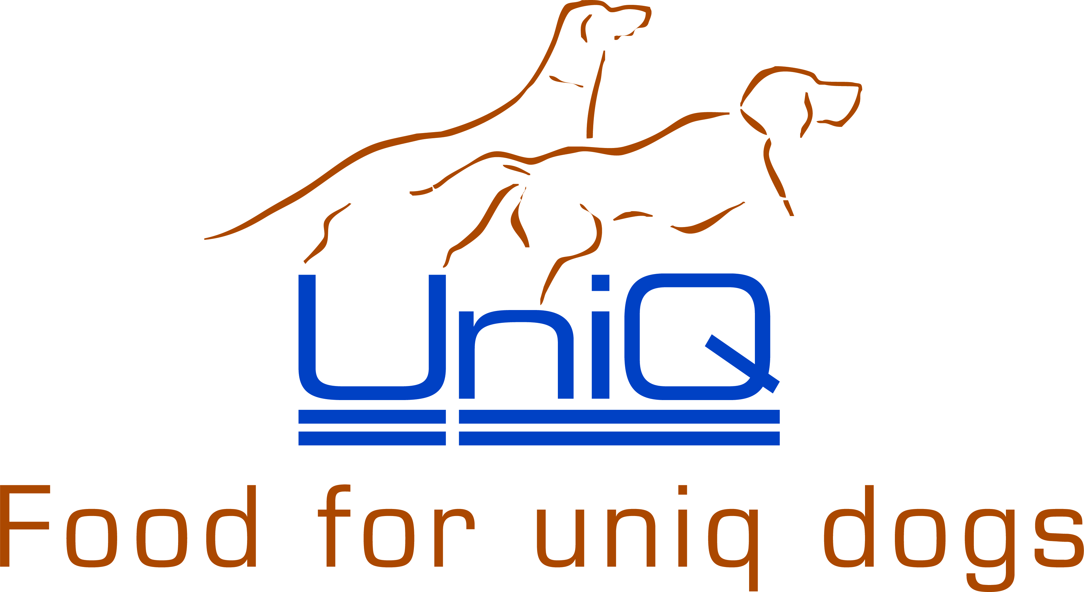 Ny huvudsponsor