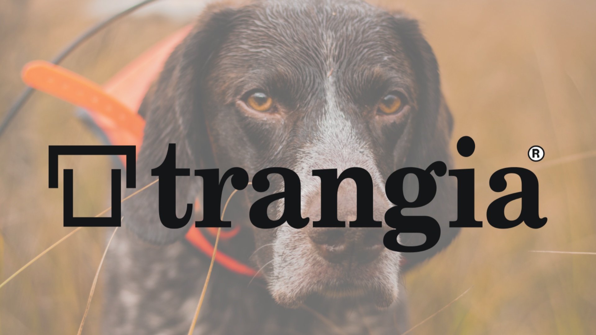 Trangia sponsrar vårt lotteri!