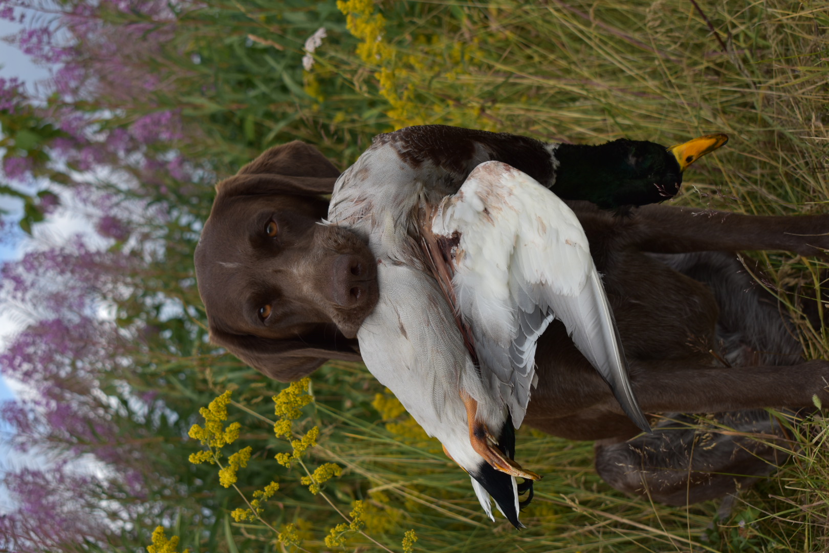 Träningsgrupp Jönköping