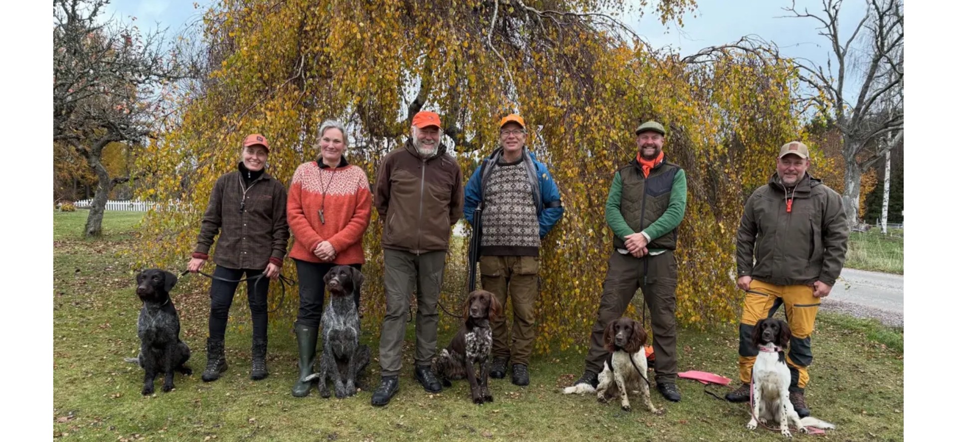 Stora framgångar för ekipagen på särskilt fullbruksprov på Hedäng